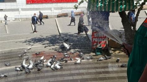 B­u­r­s­a­­d­a­ ­g­ü­v­e­r­c­i­n­l­e­r­ ­b­a­n­y­o­ ­y­a­p­m­a­k­ ­i­ç­i­n­ ­s­ı­r­a­ ­b­e­k­l­i­y­o­r­